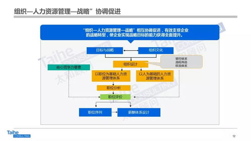 構建以網絡技術開發為驅動的人力資源管理體系，助力企業實現跨越式發展